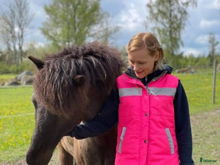hästjobb Stalljobb sökes! i Linköping - Annons 14