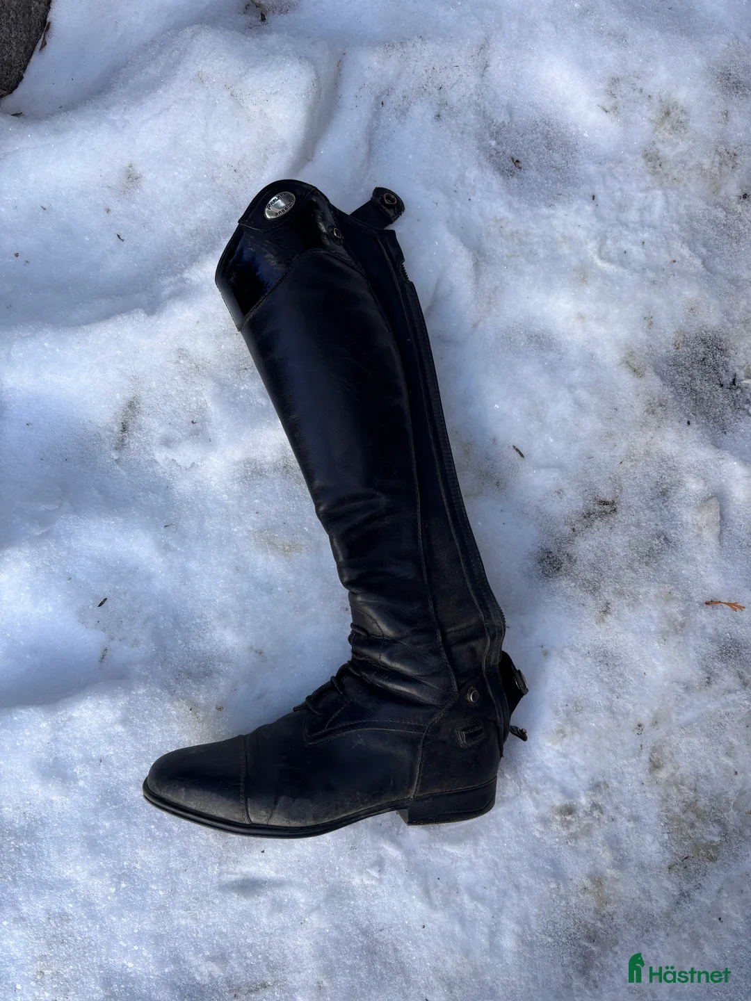 Ridstövlar ryttarutrustning till salu: Parlanti  - Annons 1