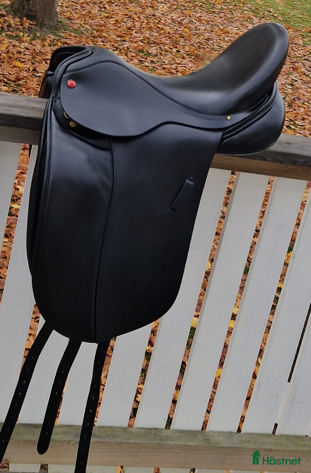 Sadlar hästutrustning till salu: Albion SLK2 bortslumpas i Trollhättan - Annons 2