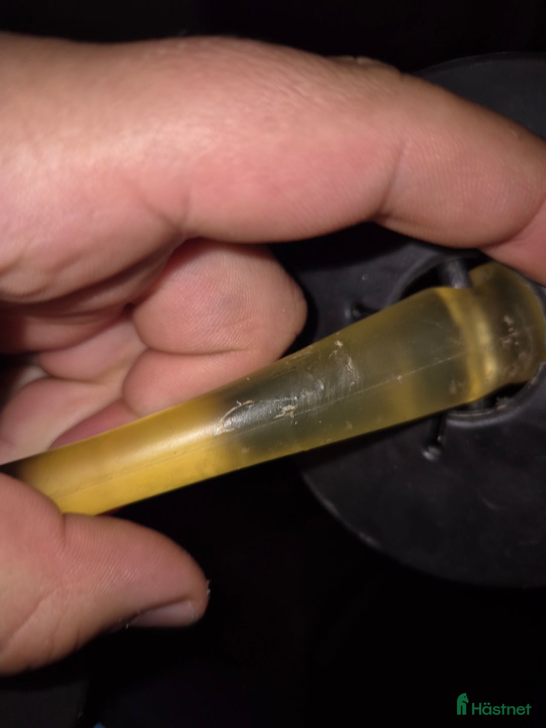 Bett hästutrustning till salu: Novabett i Dingle - Annons 2