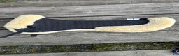 Sadeltillbehör hästutrustning till salu: Mattes-padd Dressyr - Annons 1