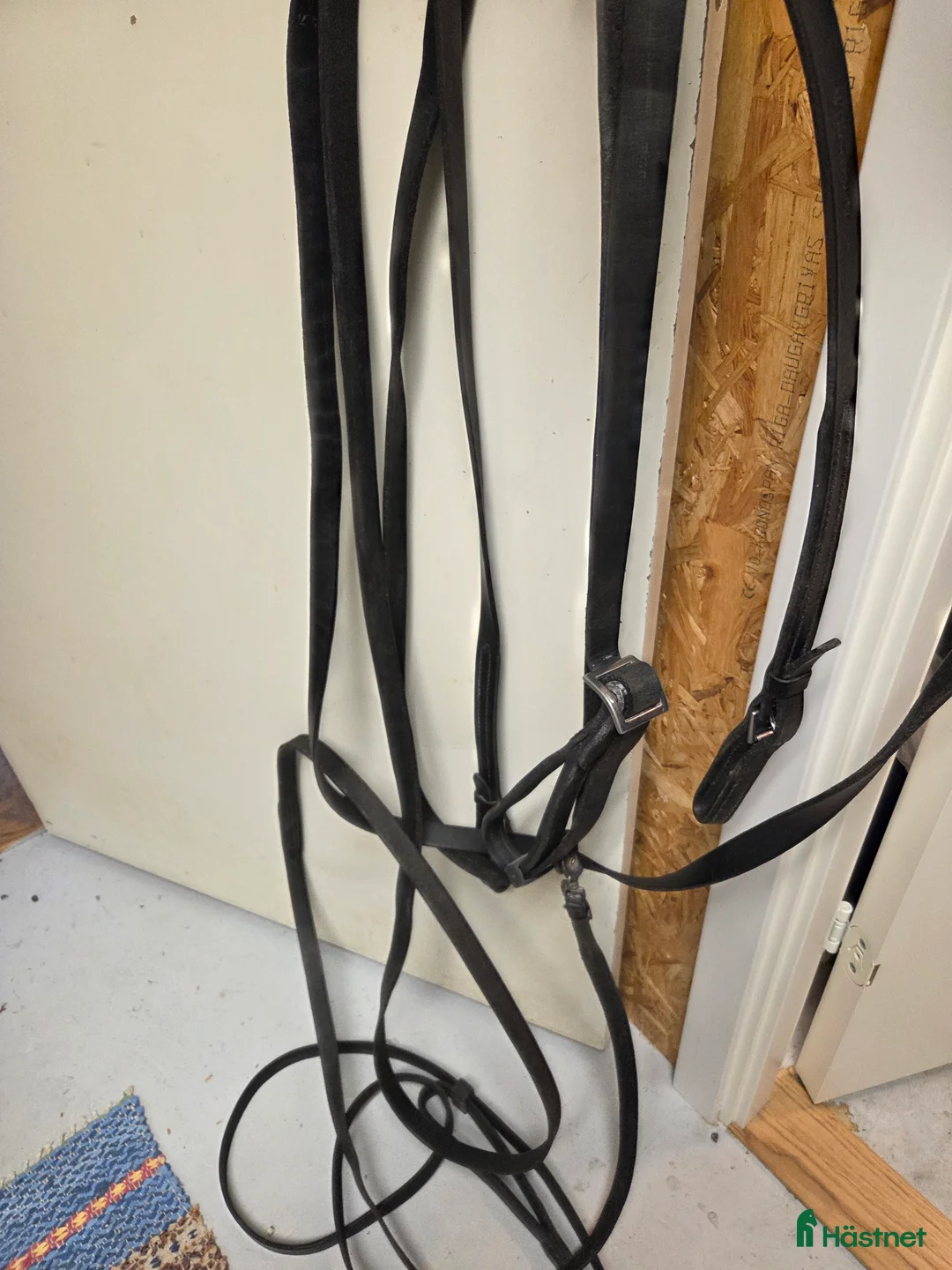 Travselar trav till salu: Långa tömmar - Annons 2