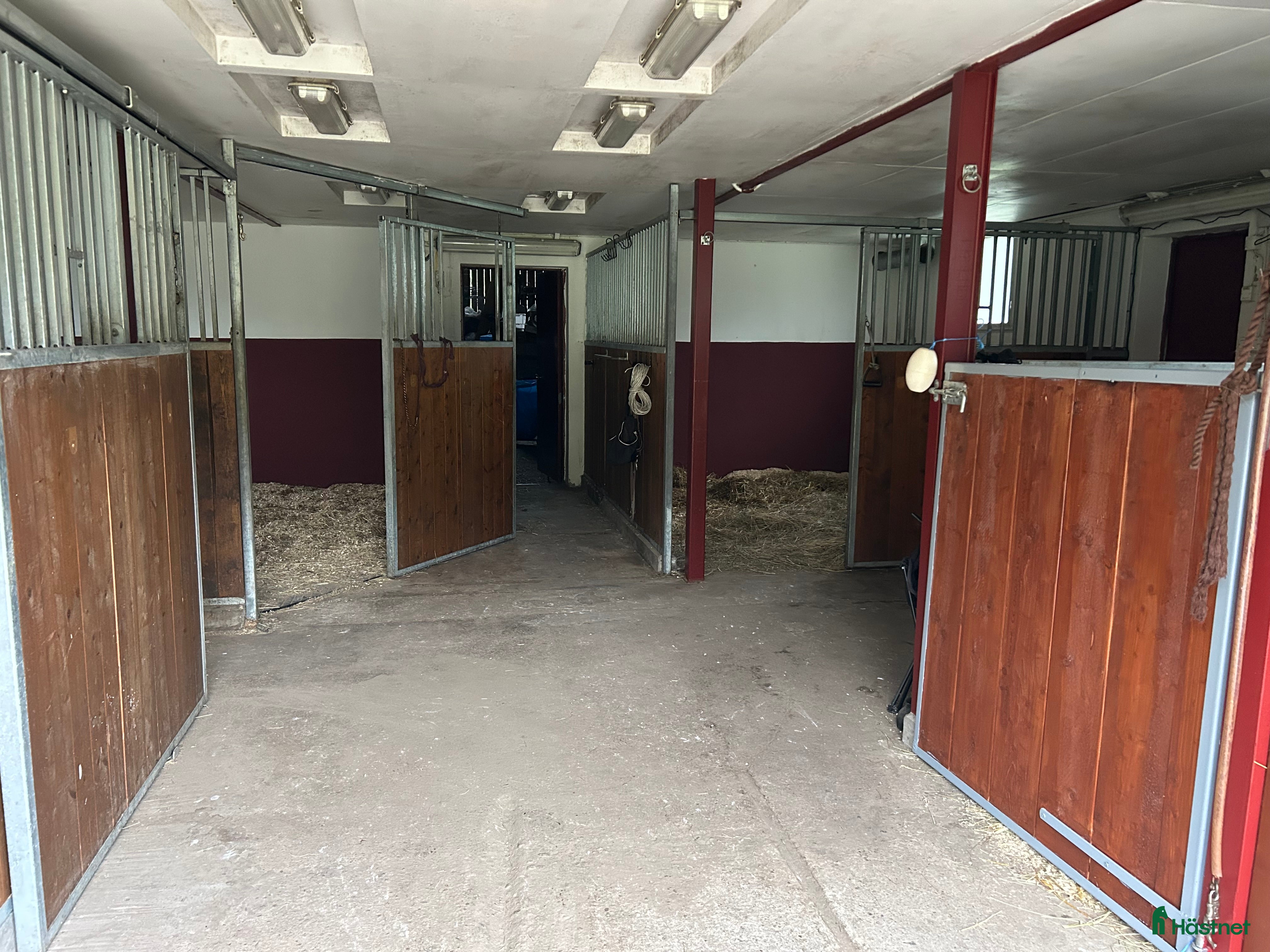  stallplats Boxplats, rehabplats eller lösdriftsplats erbjuds  i Nol - Annons 4