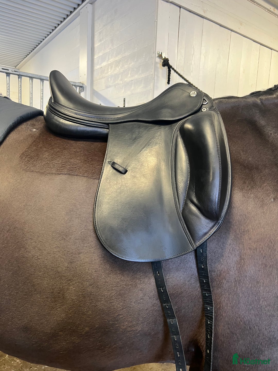 Sadlar hästutrustning till salu: Prestige D1 K, dressyr sadel i Avesta - Annons 1