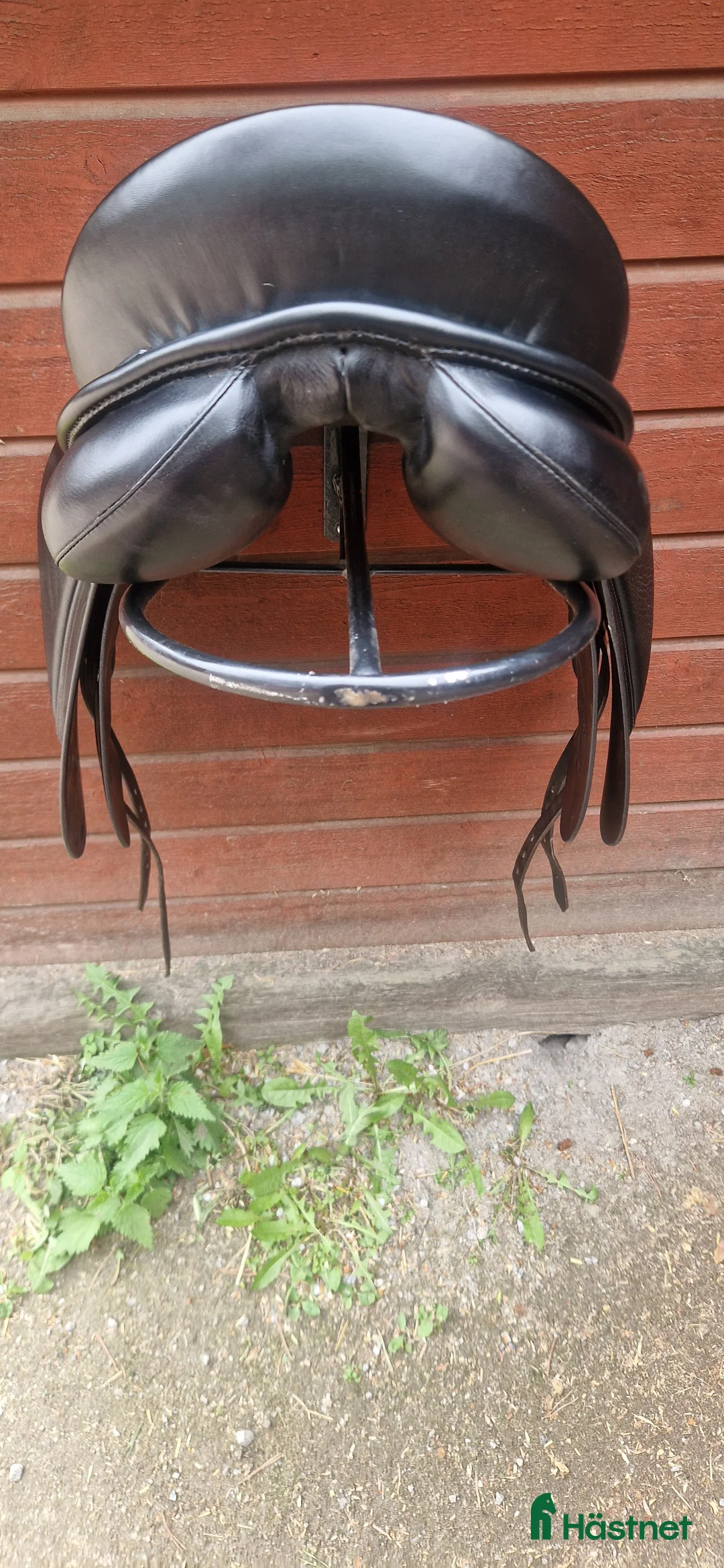 Sadlar hästutrustning till salu: Passier ABS i Svartsjö - Annons 3