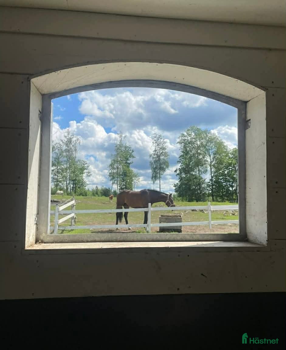  stallplats Stallplats ledig på Hallens Gård i Hemsjö/alingsås - Annons 2