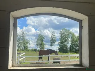 stallplats Stallplats ledig på Hallens Gård i Hemsjö/alingsås - Annons 1