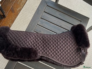 Schabrak & Vojlockar hästutrustning till salu: Fårskinnspadd i Kramfors - Annons 21