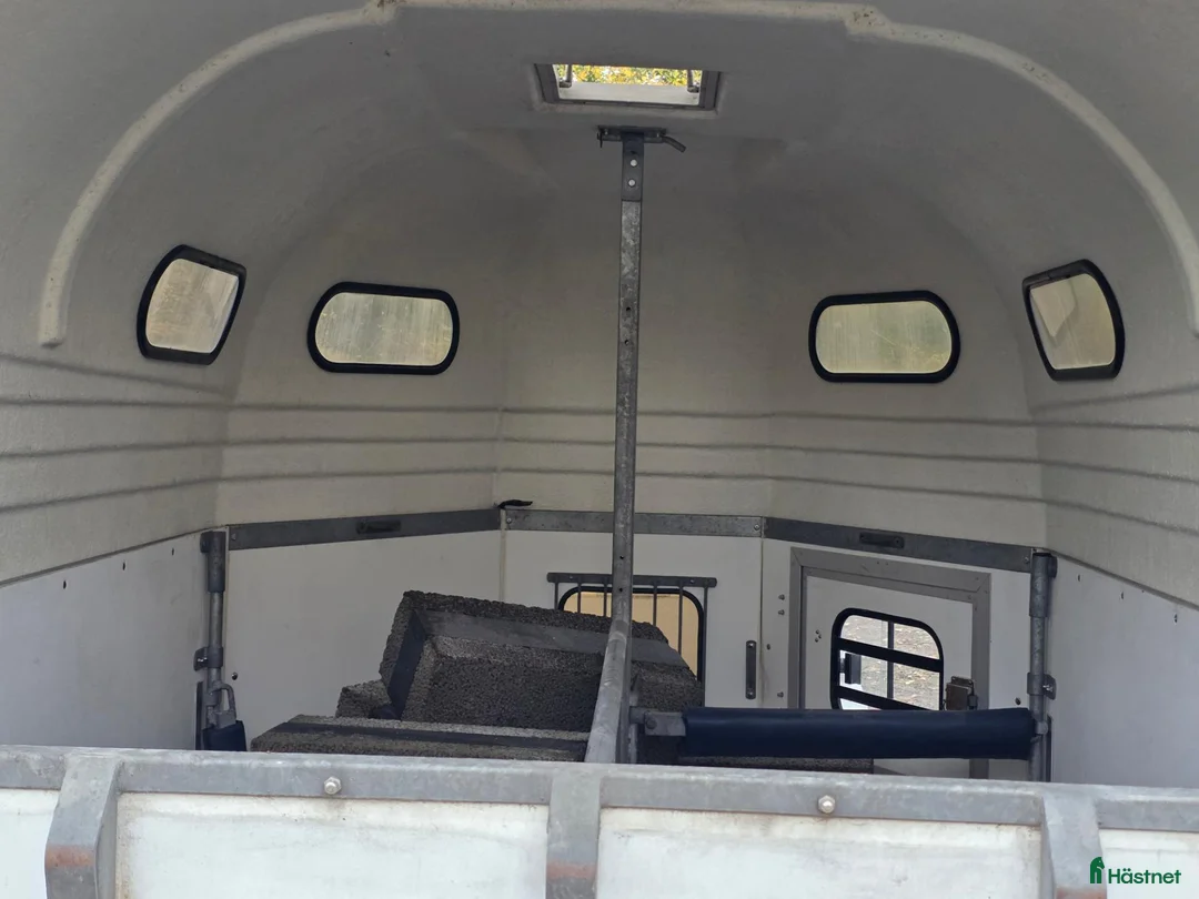 Hästtransporter  fordon & transport till salu: BOJ EH  - Annons 4