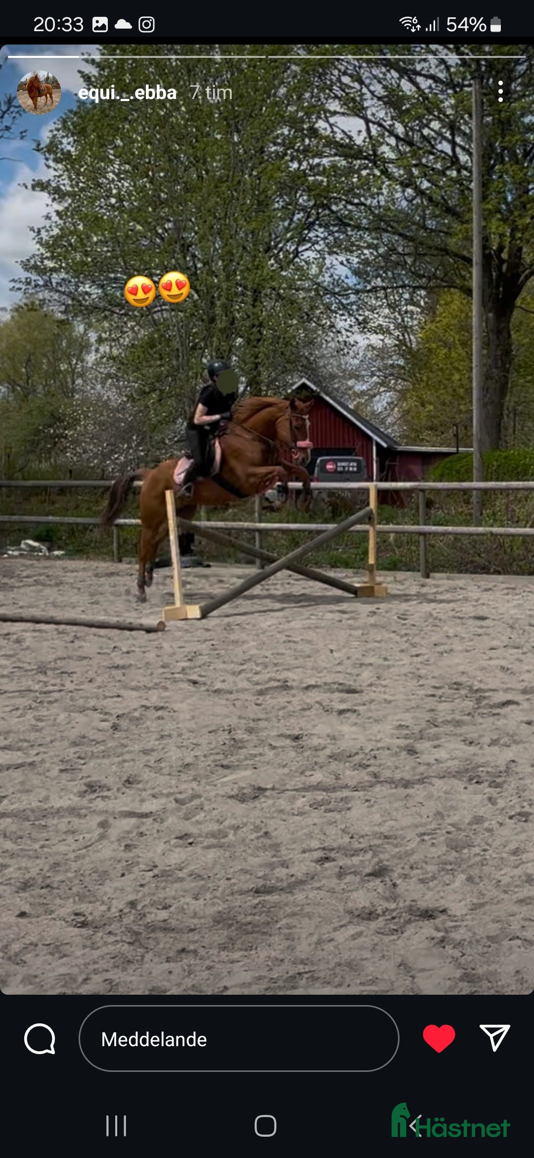 Western hästar till salu: Liten kille med stort hjärta i Skövde - Annons 4