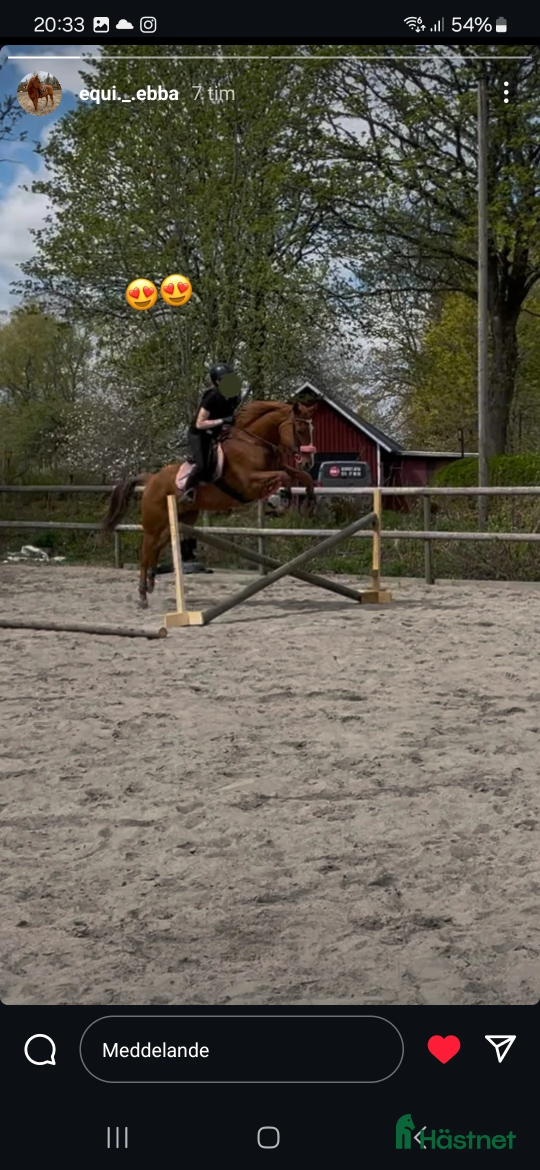 Western hästar till salu: Liten kille med stort hjärta i Skövde - Annons 4