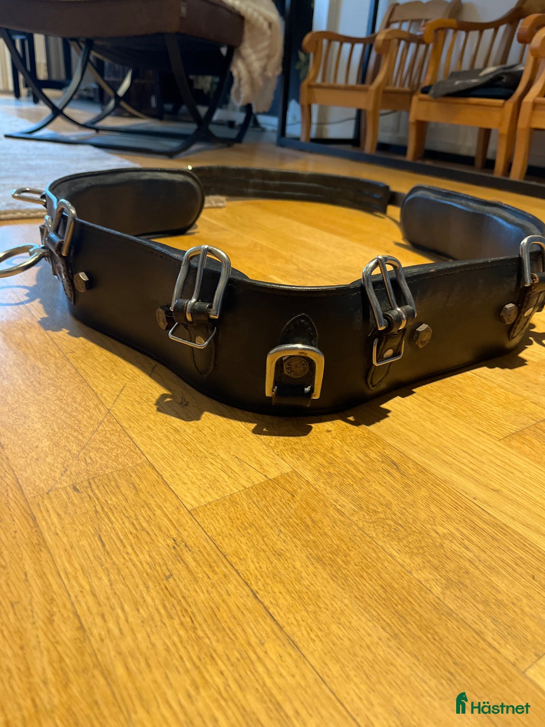 Övrig Hästutrustning hästutrustning till salu: Tömkörningsgjord  i Åkersberga - Annons 3