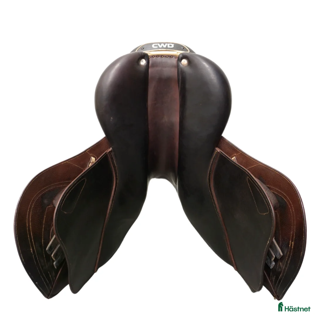 Sadlar hästutrustning till salu: CWD Mademoiselle 2Gs 17,5" i Upplands Väsby - Annons 6