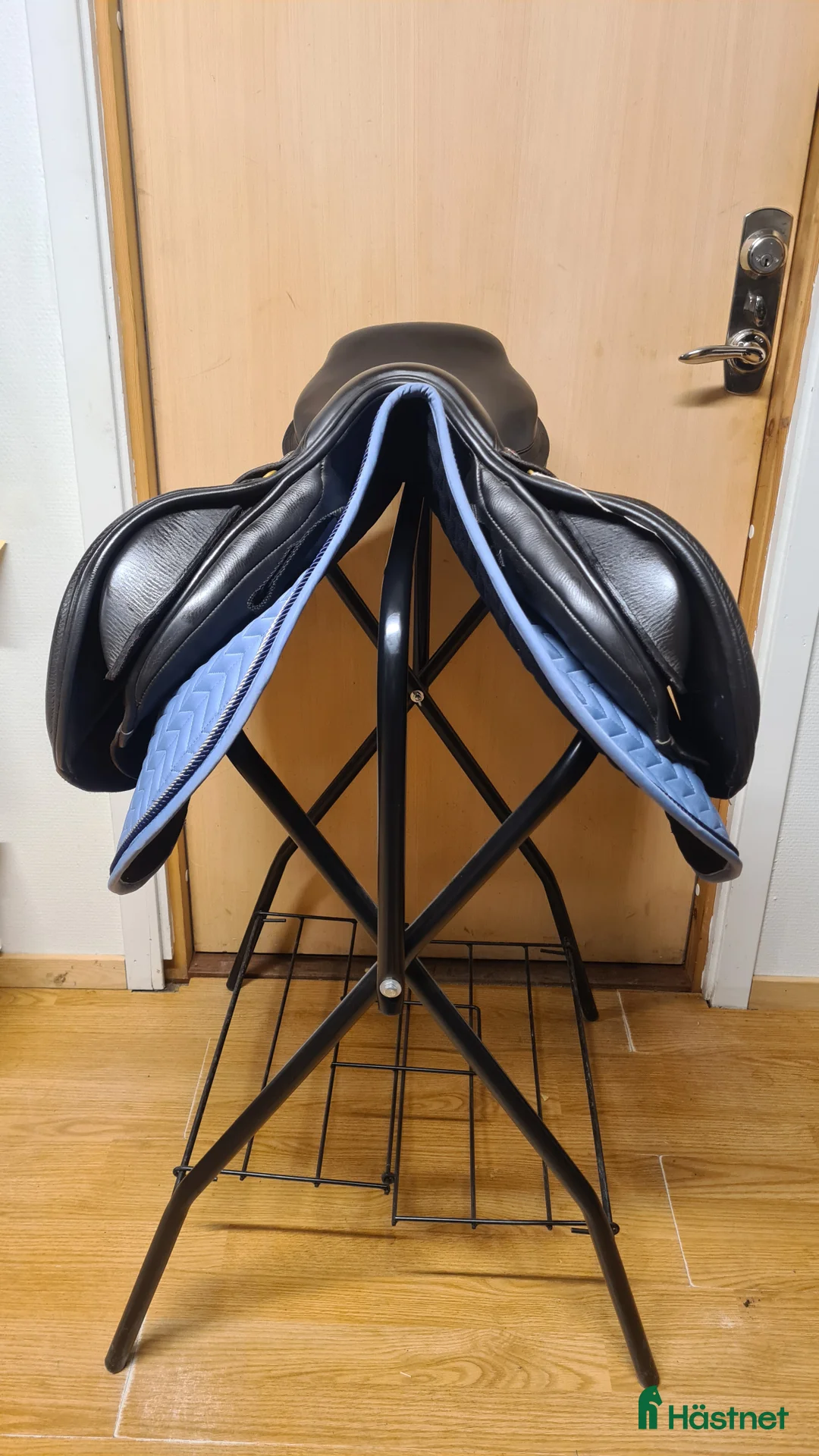 Sadlar hästutrustning till salu: Albion Kontrol i Hamneda - Annons 3