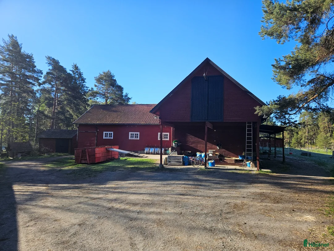  stallplats finnes: Ledig stallplats i Sigtuna! i Sigtuna - Annons 1