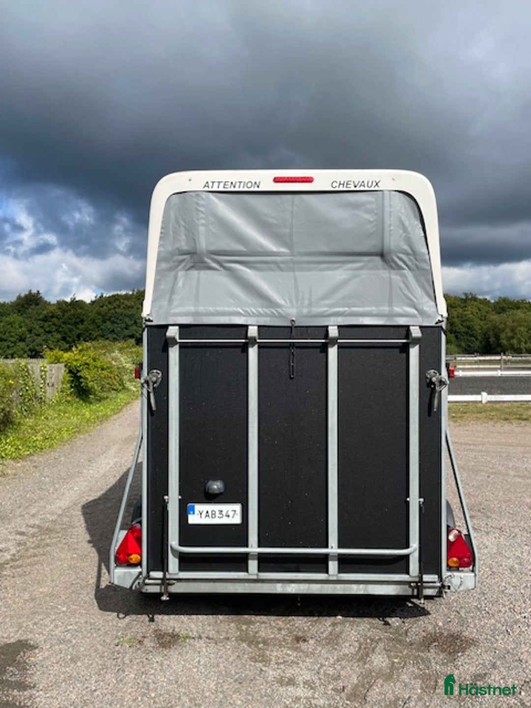 Hästtransporter  fordon & transport till salu: Gold First i Hjärnarp - Annons 3