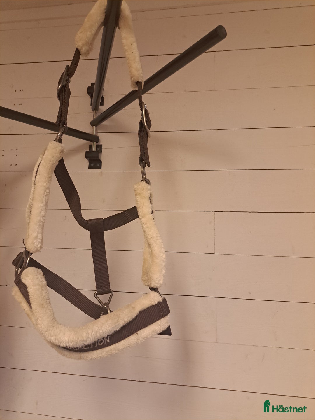 Övrig Hästutrustning hästutrustning till salu: Blandade grejer till salu!! i Ljusterö - Annons 3