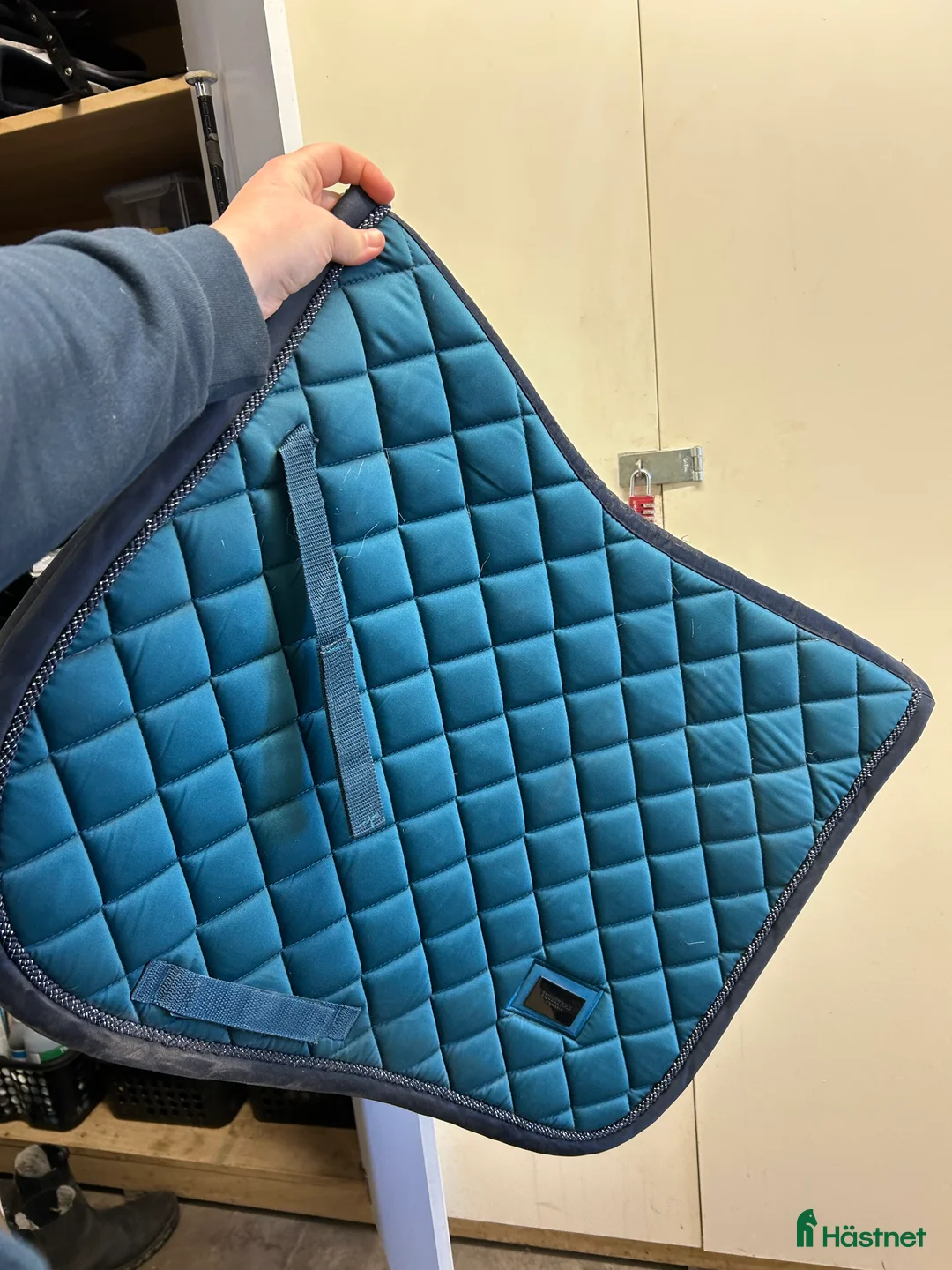 Schabrak & Vojlockar hästutrustning till salu: Aurora Blue ES schabrak - Annons 2