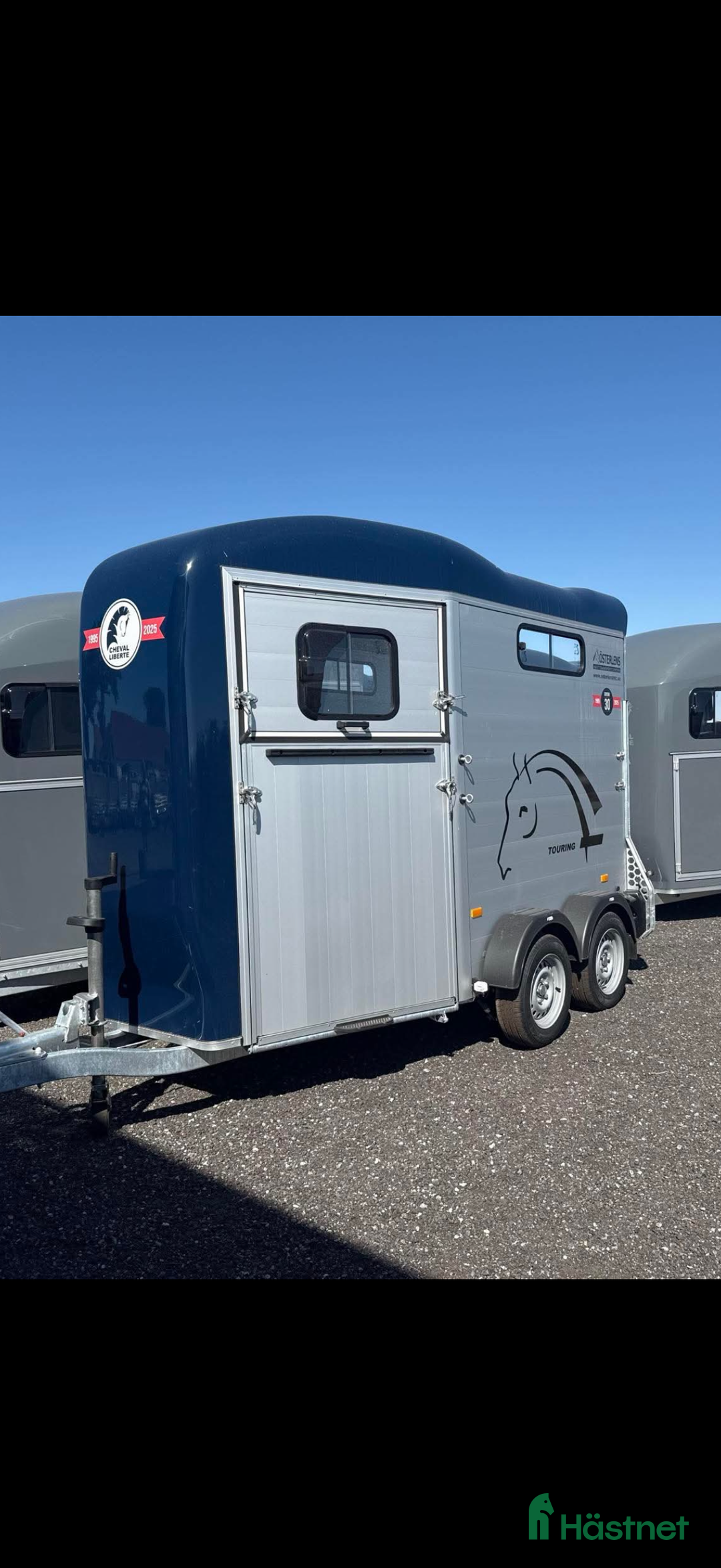 Hästtransporter  fordon & transport till salu: 1,5 hästars transport uthyres - cheval liberte one i Växjö - Annons 1