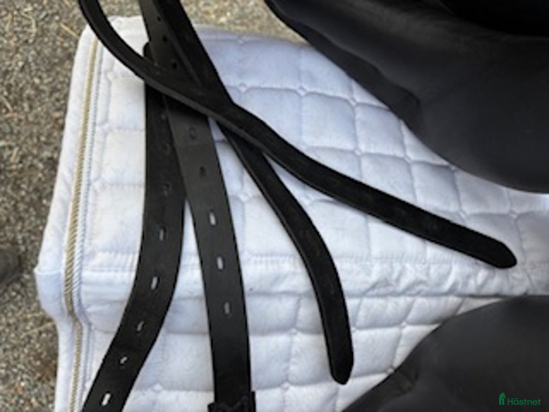 Sadlar hästutrustning till salu:  Amerigo / Pasubio Pinerolo  i Märsta - Annons 4