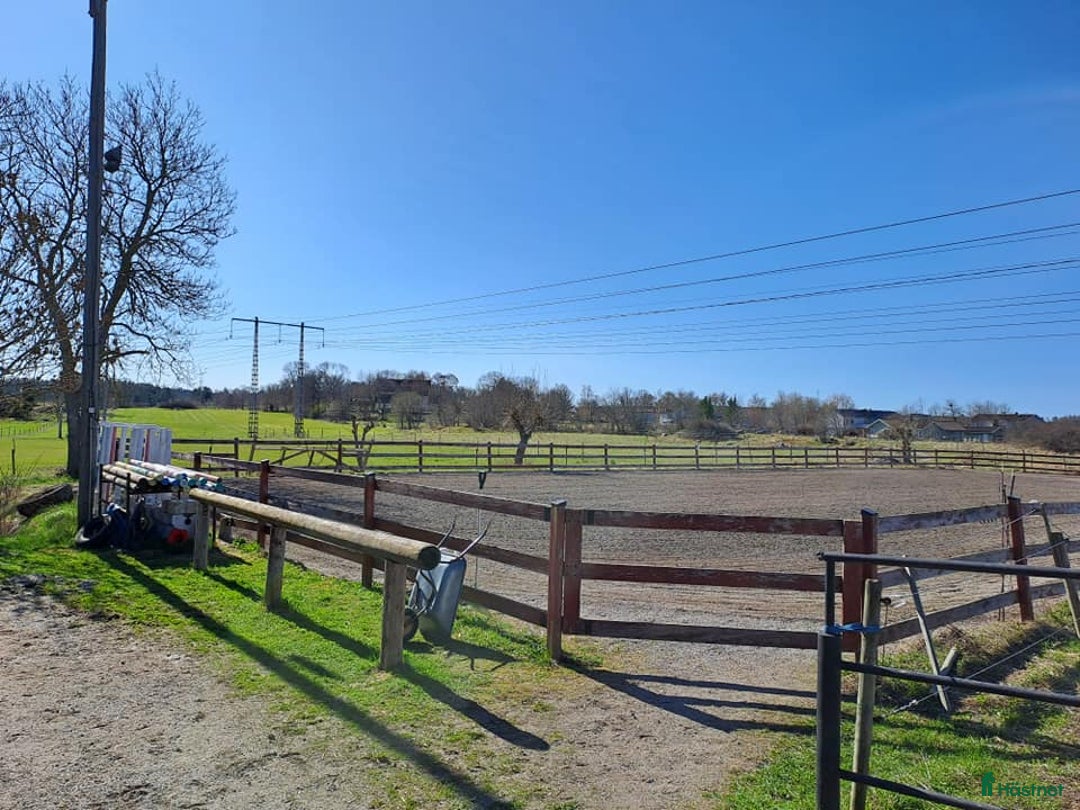  stallplats finnes: Lösdrift Häst - ung som gammal - blandflock i Bro - Annons 18