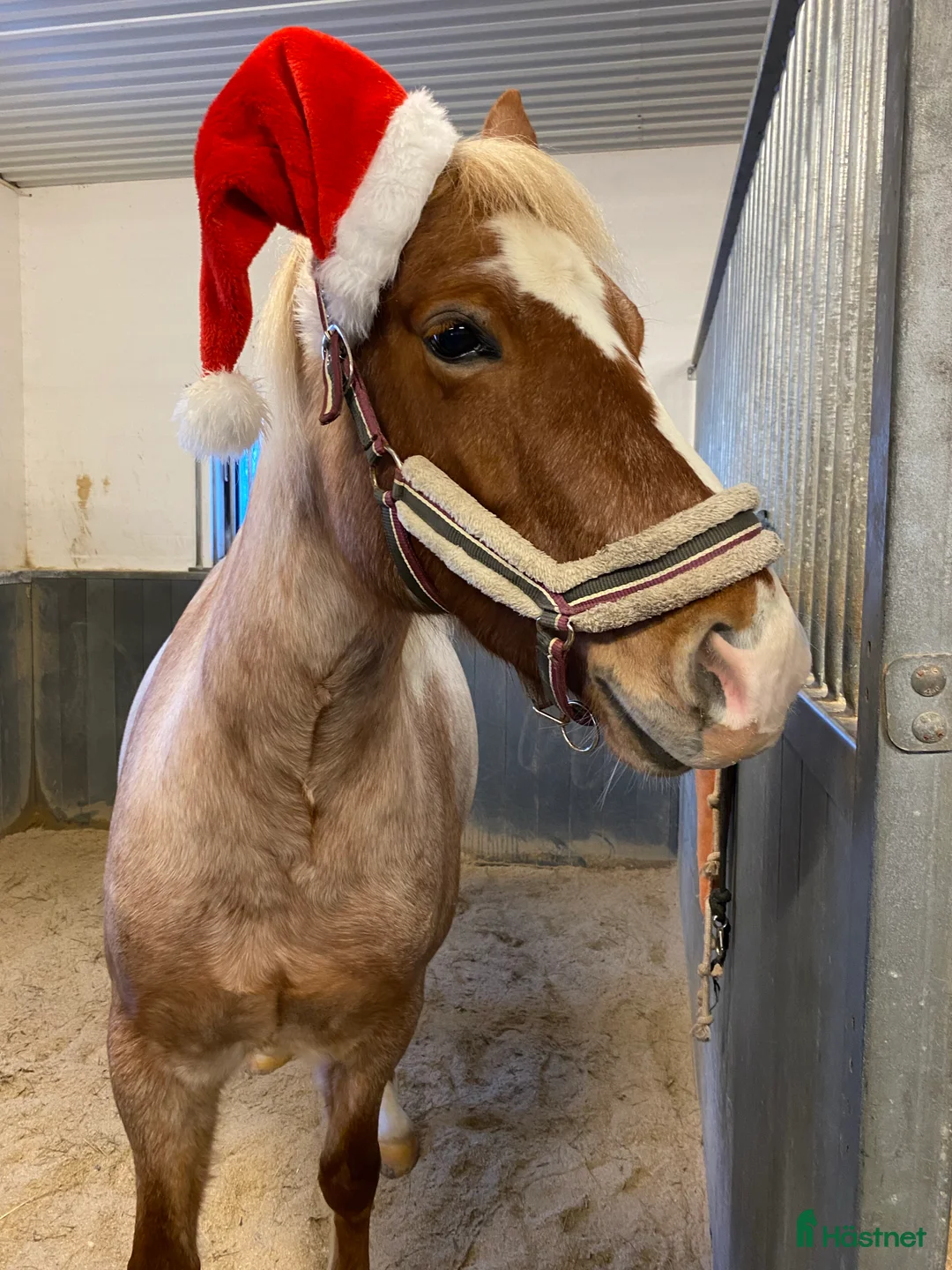 Galleribild {{count}}