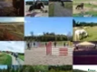 stallplats finnes: Boxplats på gård med ridhus finns i Knivsta i Knivsta - Annons 2