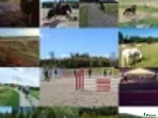 stallplats finnes: Boxplats på gård med ridhus finns i Knivsta i Knivsta - Annons 2