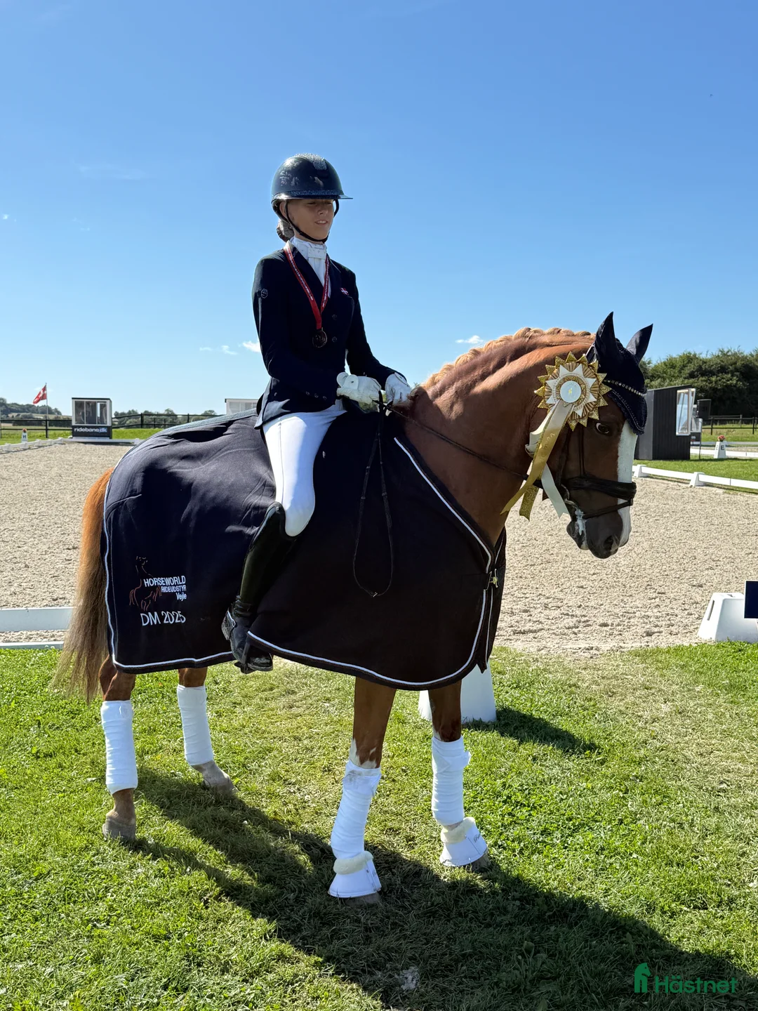 Dressyr hästar till salu: Super schoolmaster  - Annons 3