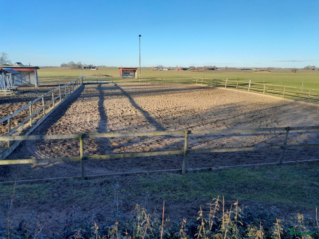  stallplats finnes: Boxplats uthyres i Staffanstorp - Annons 5