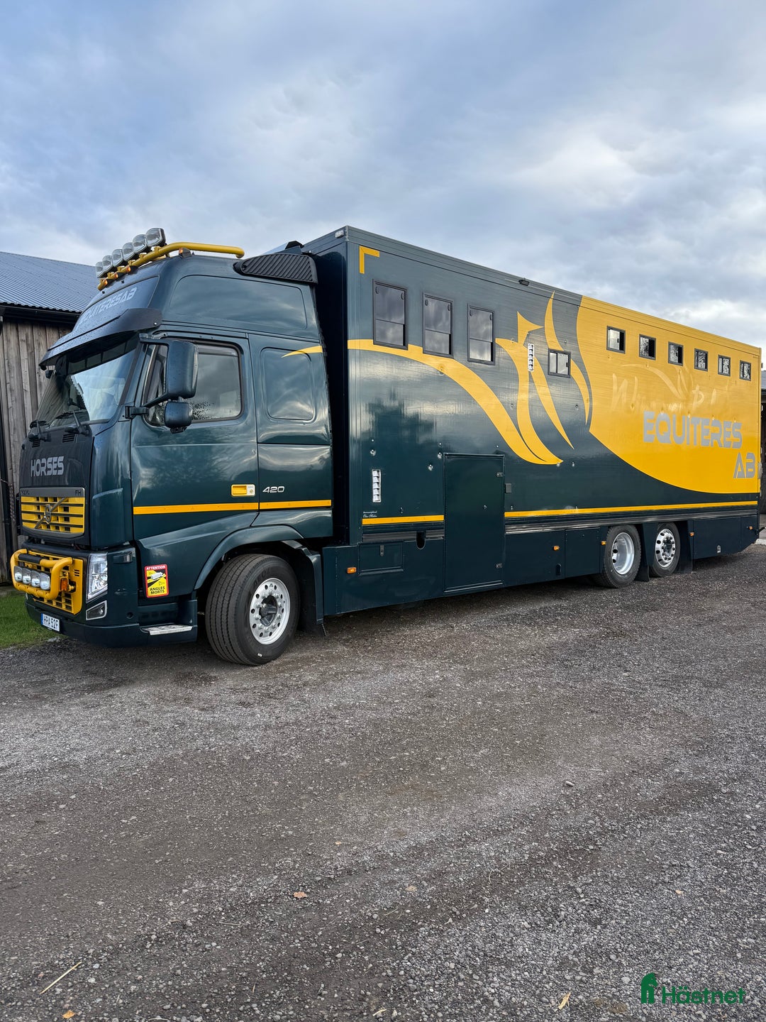  hästservice finnes: Hästtransporter  i Blentarp - Annons 4