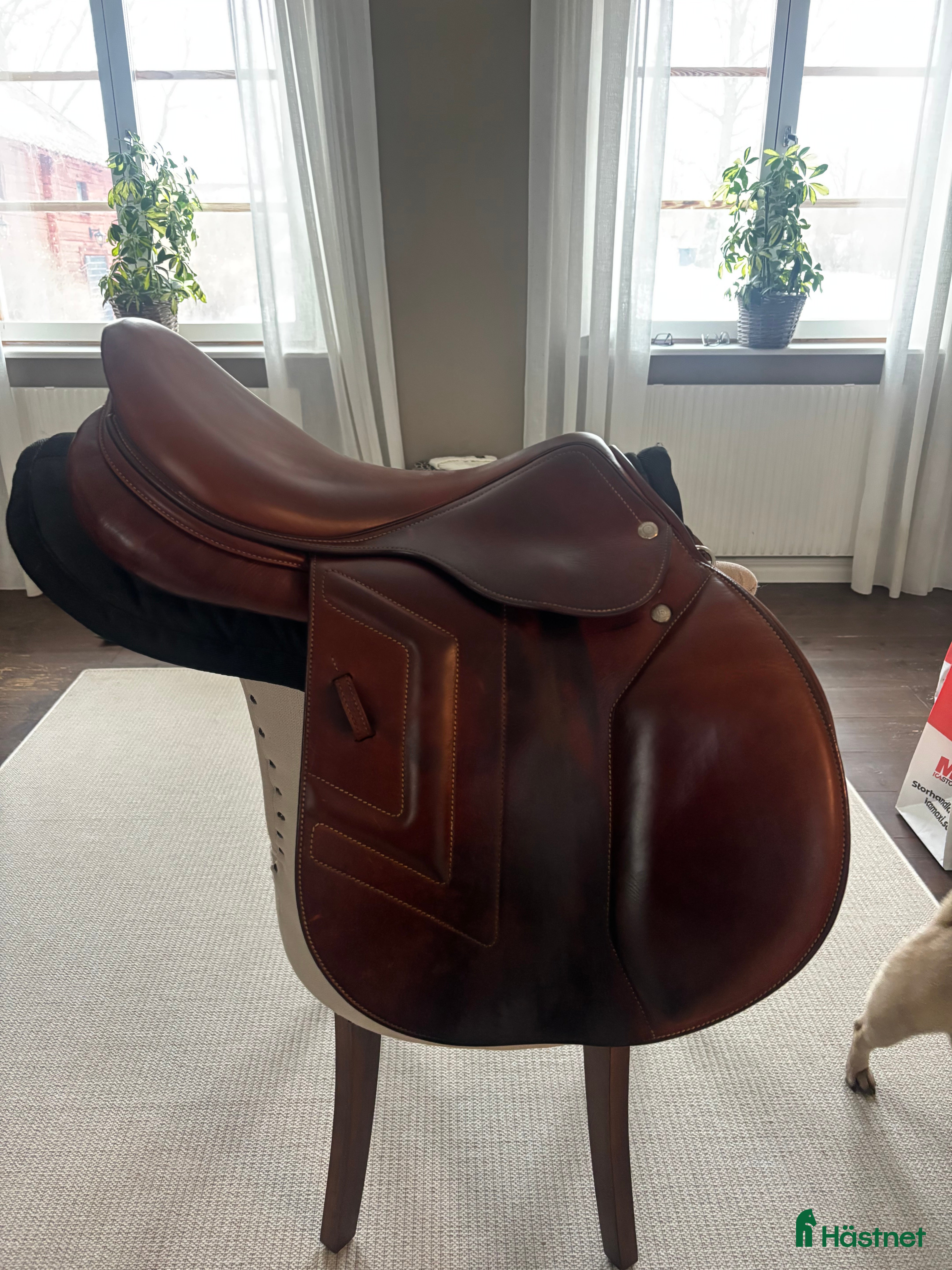 Sadlar hästutrustning HOPPSADEL - Annons 9