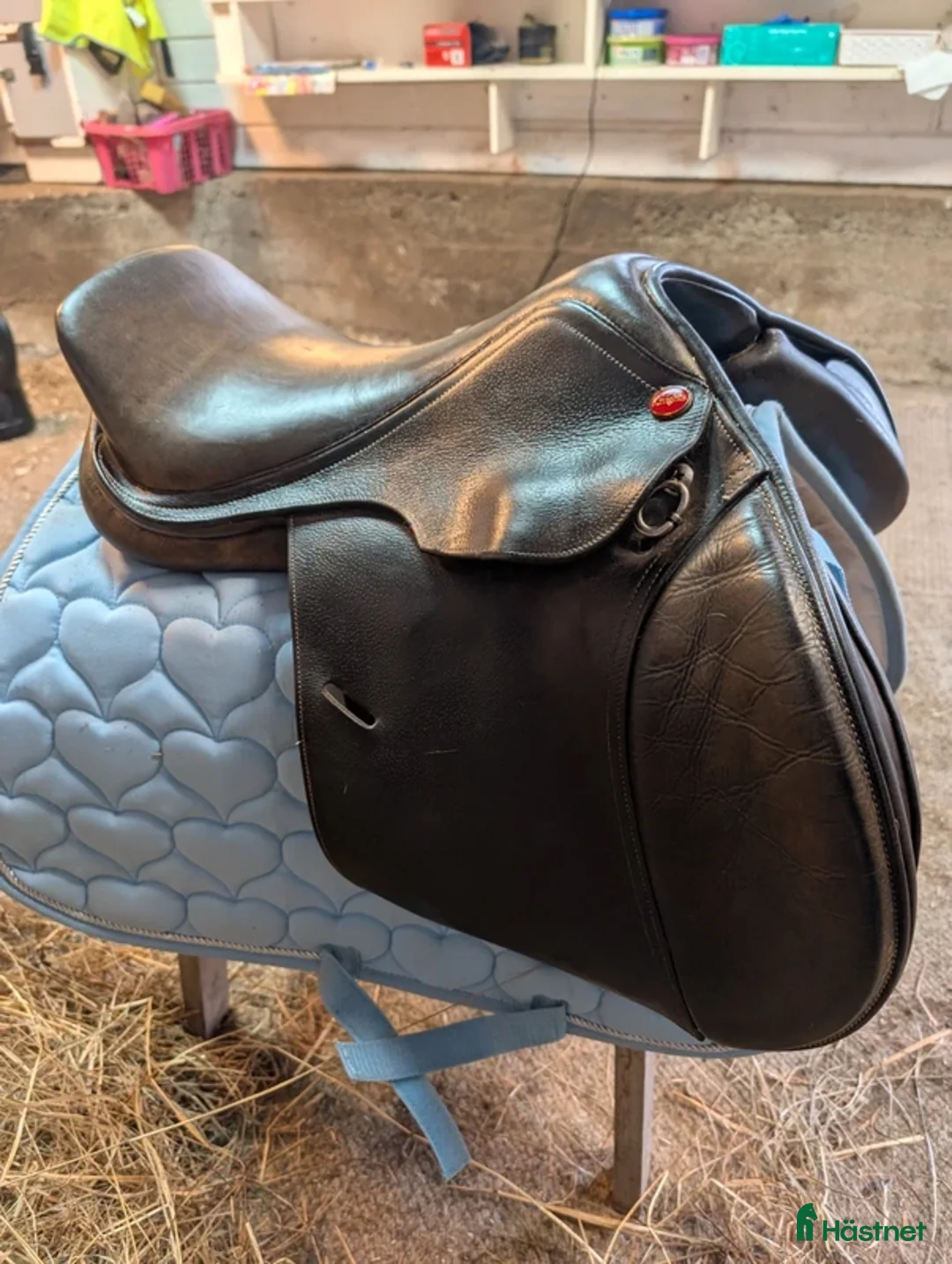 Sadlar hästutrustning till salu: 15" Knights Robin Hood Elite - Annons 2