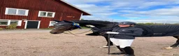  hästjobb finnes: Stalljobb  - Annons 1