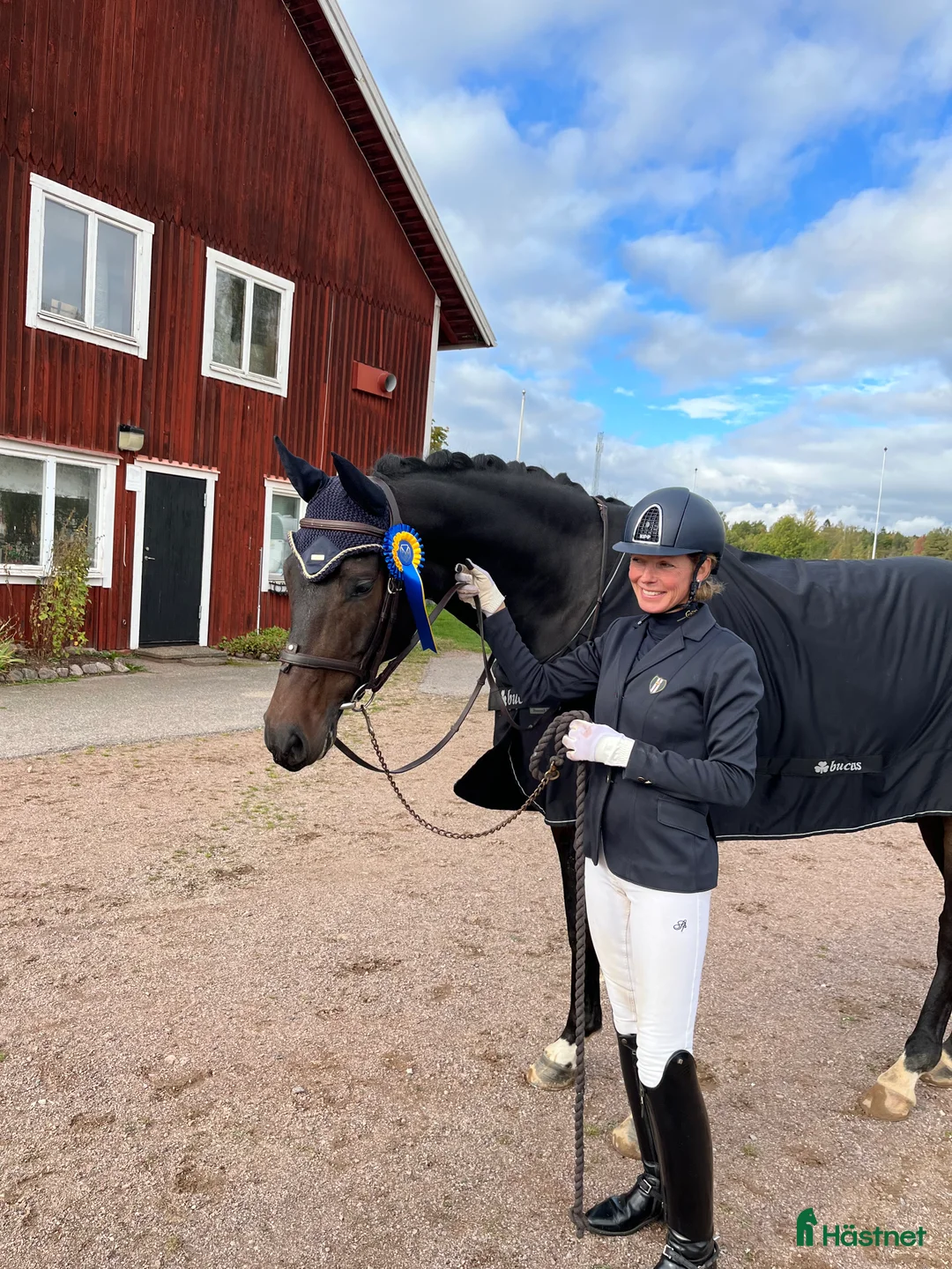  hästjobb finnes: Stalljobb  - Annons 1