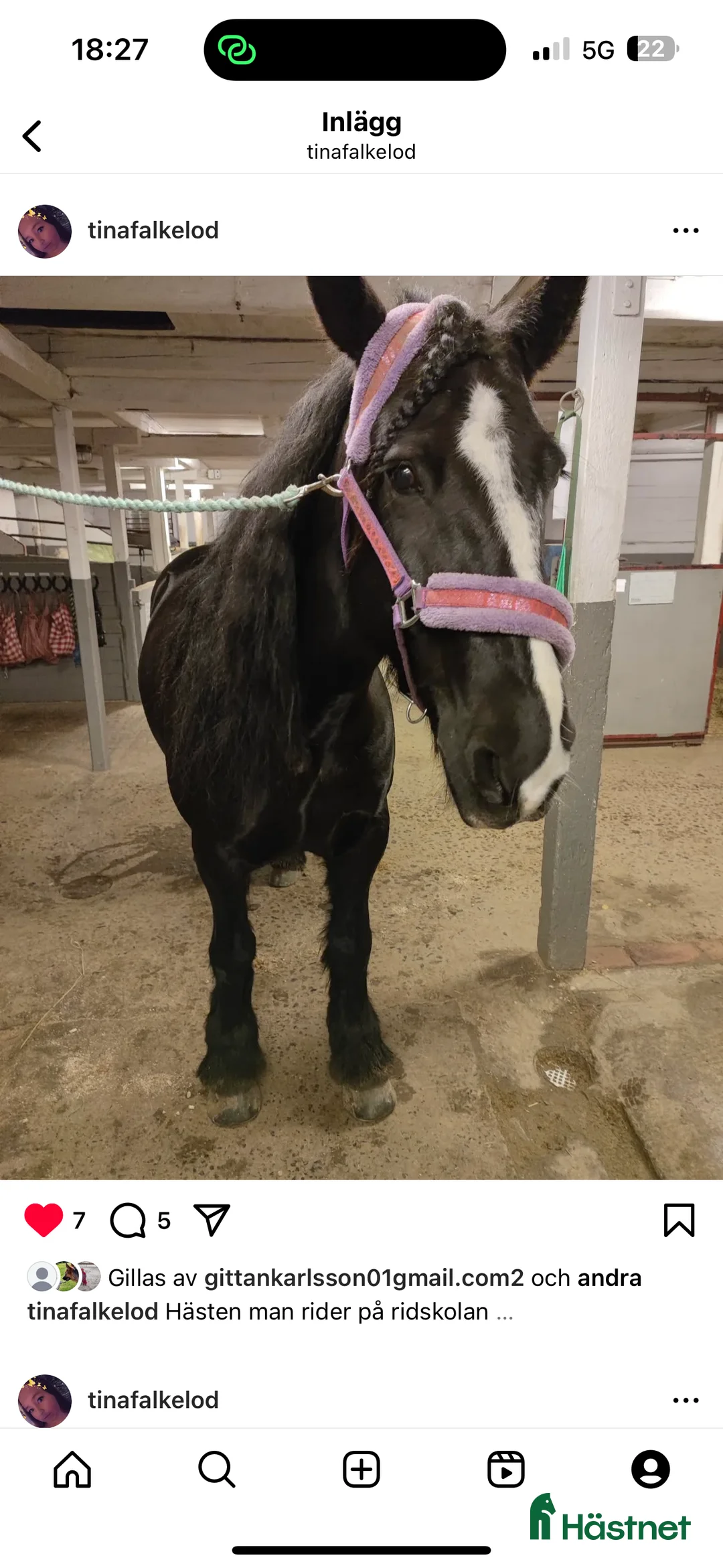  medryttarhäst sökes: Halvfodervärd/ medryttare  i Eslöv - Annons 1