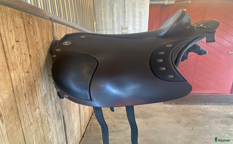 Sadlar hästutrustning till salu i Ystad - Annons 12