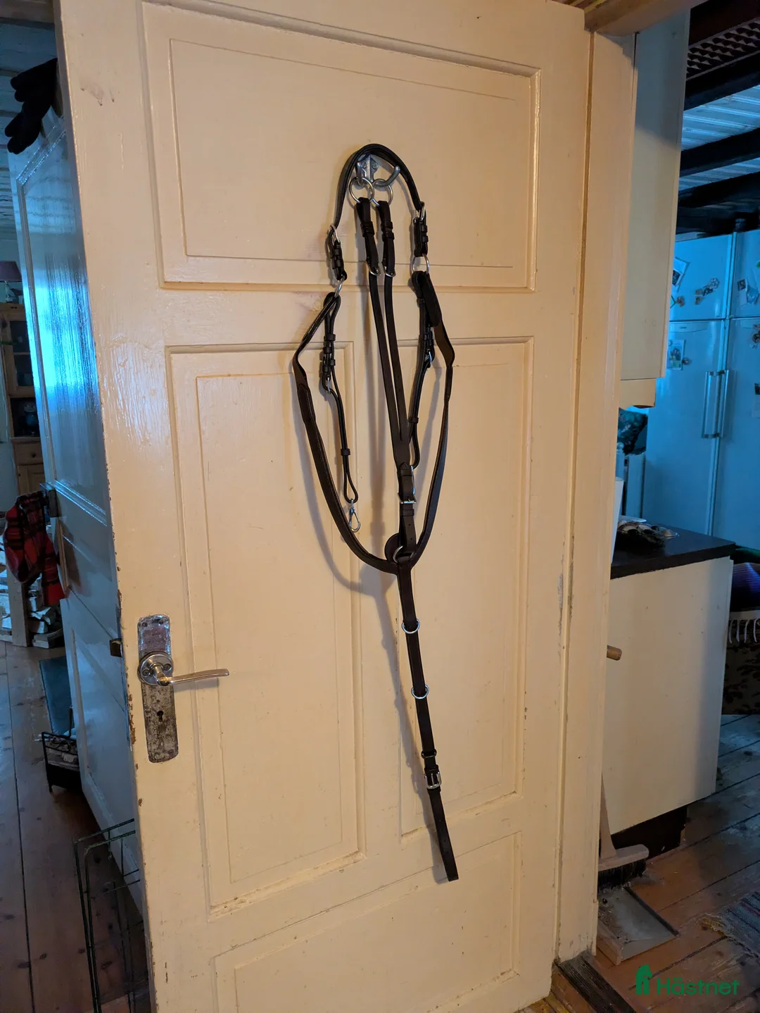 Sadeltillbehör hästutrustning till salu: Fin Dyon förbygel med martingal  i Björklinge - Annons 2