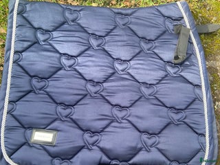 Schabrak & Vojlockar hästutrustning till salu: Olika schabrak - Annons 16