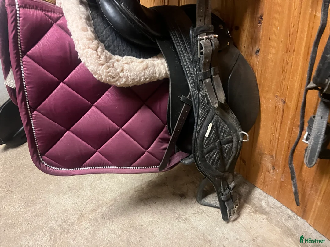 Schabrak & Vojlockar hästutrustning till salu: Ps of sweden schabrak i Dala-Husby - Annons 2