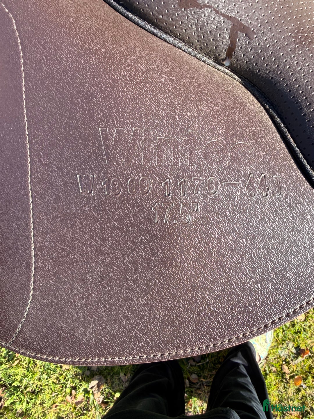 Sadlar hästutrustning till salu: Wintec 500 GP Hart i Motala - Annons 3