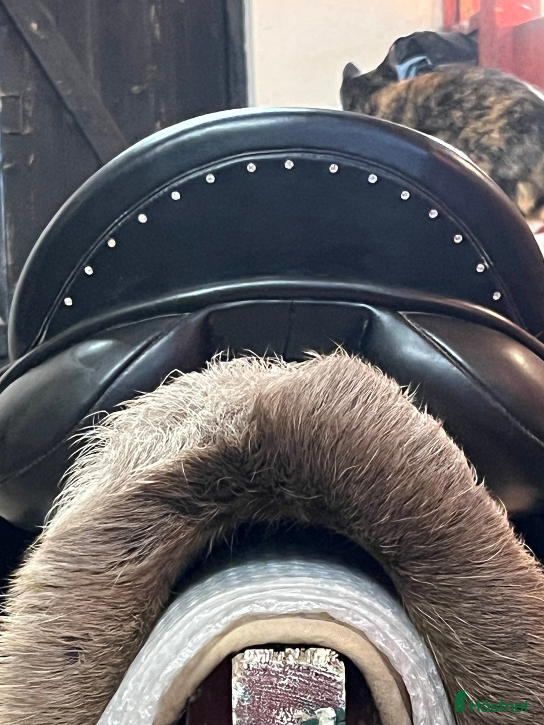 Sadlar hästutrustning till salu: Kentaur sadel i Tierp - Annons 2