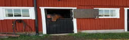  stallplats finnes: Boxplats med mycket utevistelse, bete och ridbana  - Annons 3