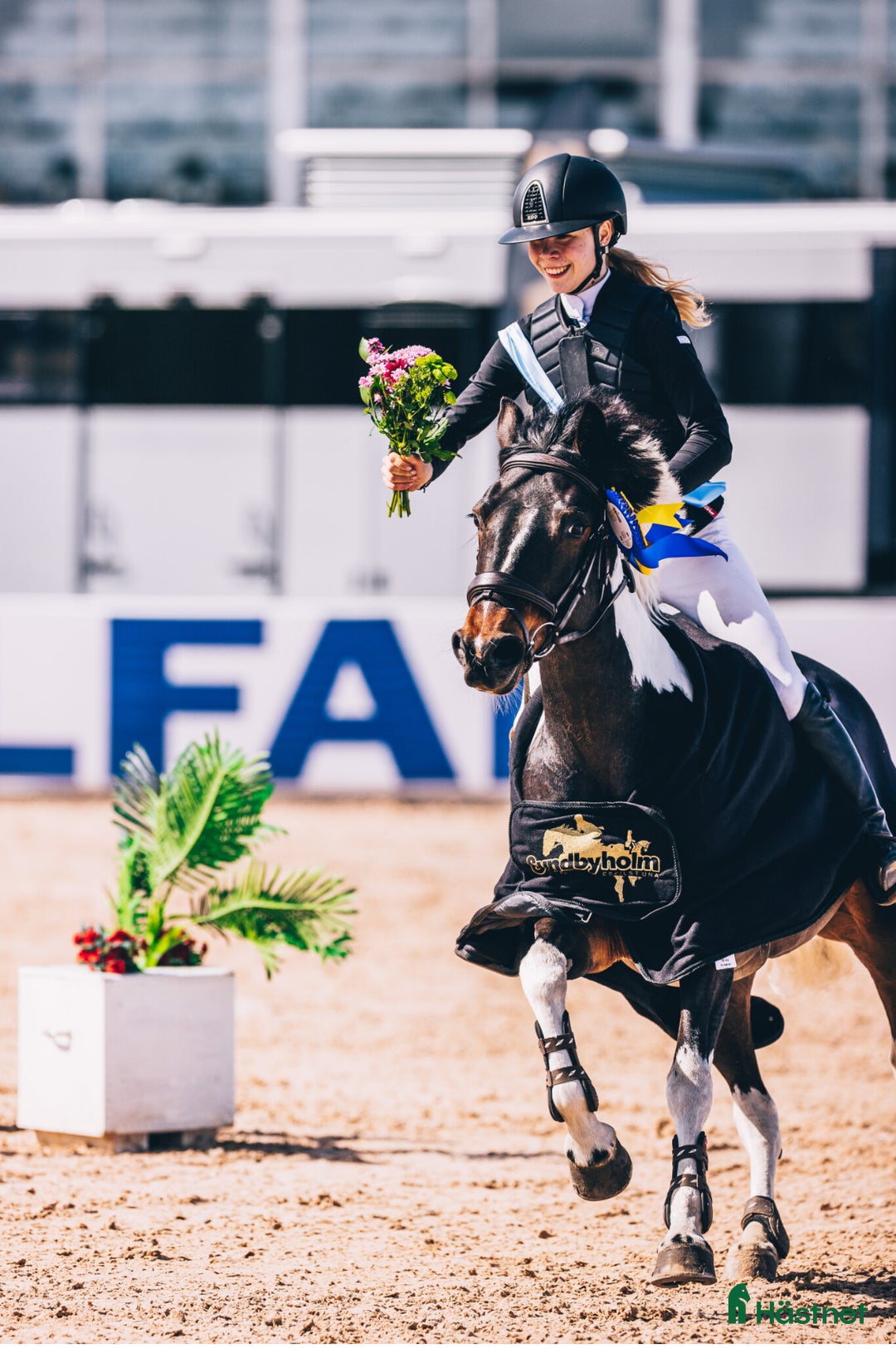 Hoppning hästar till salu: Drömponny för de största klasserna⭐️ i Enköping - Annons 3