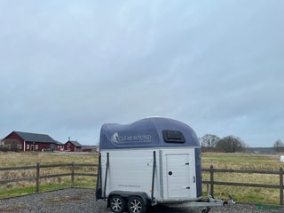 Hästtransporter fordon & transport till salu: Aluminiumvagn från 2019 (PRISSÄNKT) - Annons 4