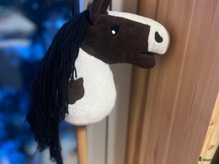 Övrig utrustning övrig utrustning till salu: Hööks käpphäst till salu med tillbehör💙 i Kiruna - Annons 4