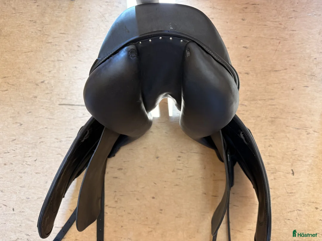 Sadlar hästutrustning till salu: Dressyrsadel Ergo X2 Salmiak - Annons 2