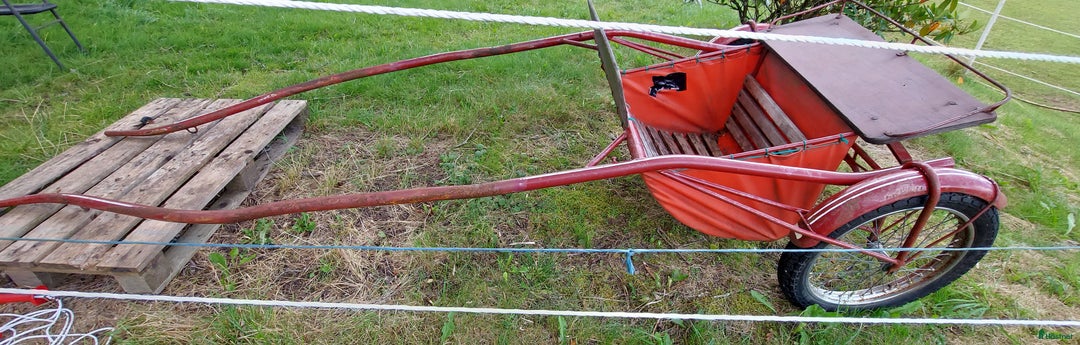 Körvagnar körning till salu: Stabil Rockard  i Sandhult - Annons 4