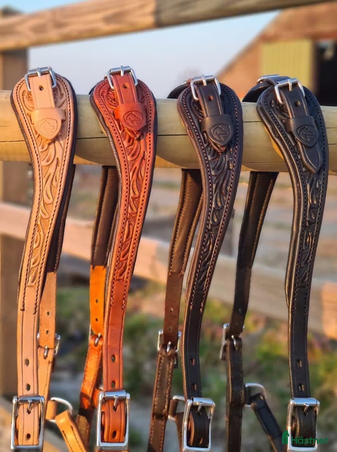 Träns hästutrustning till salu: Bettlöst Hackamore  i Ludvika - Annons 4