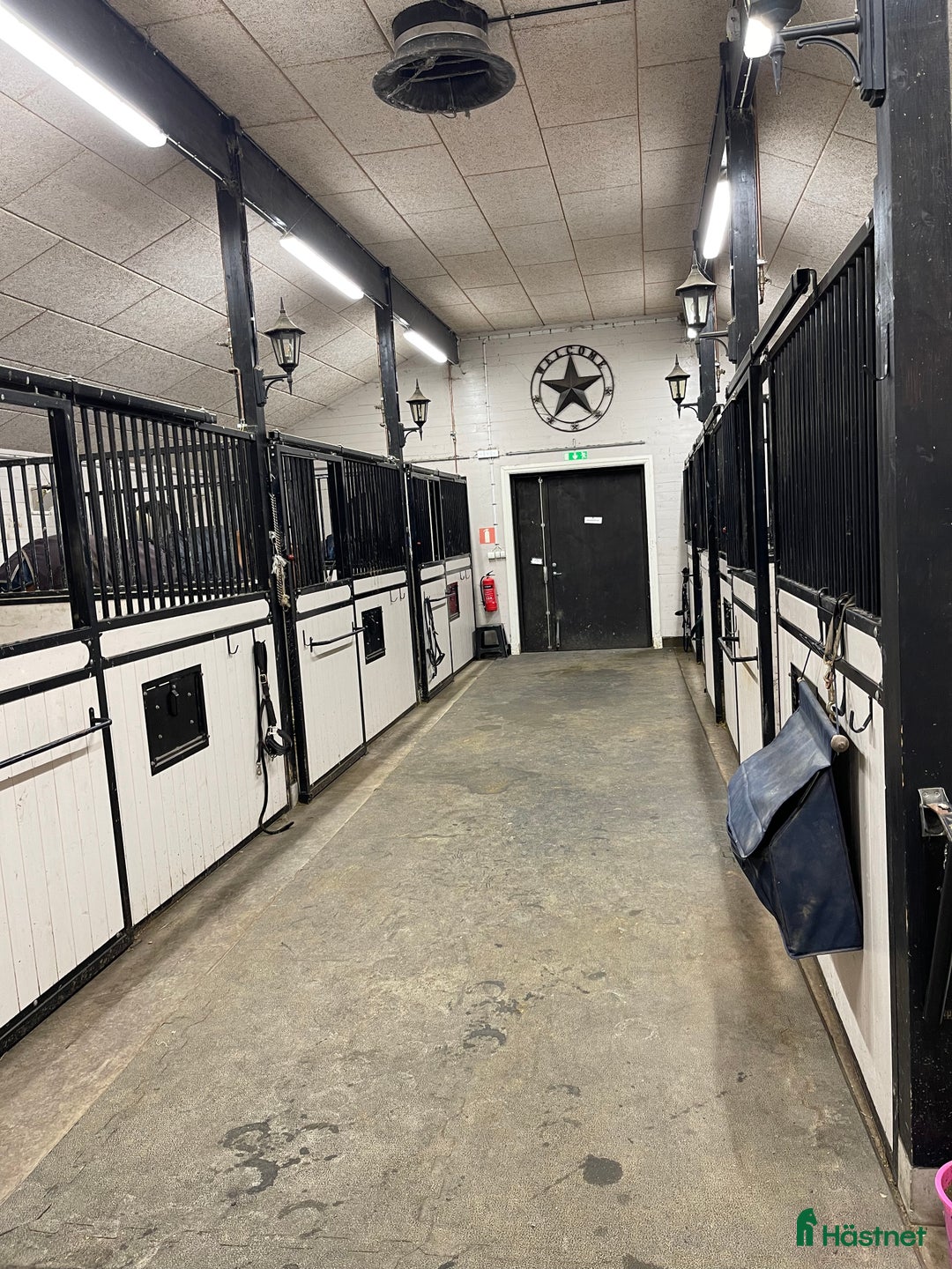  stallplats finnes: 1 eller 2 helinackoderingsplatser erbjudes i Vallda - Annons 5